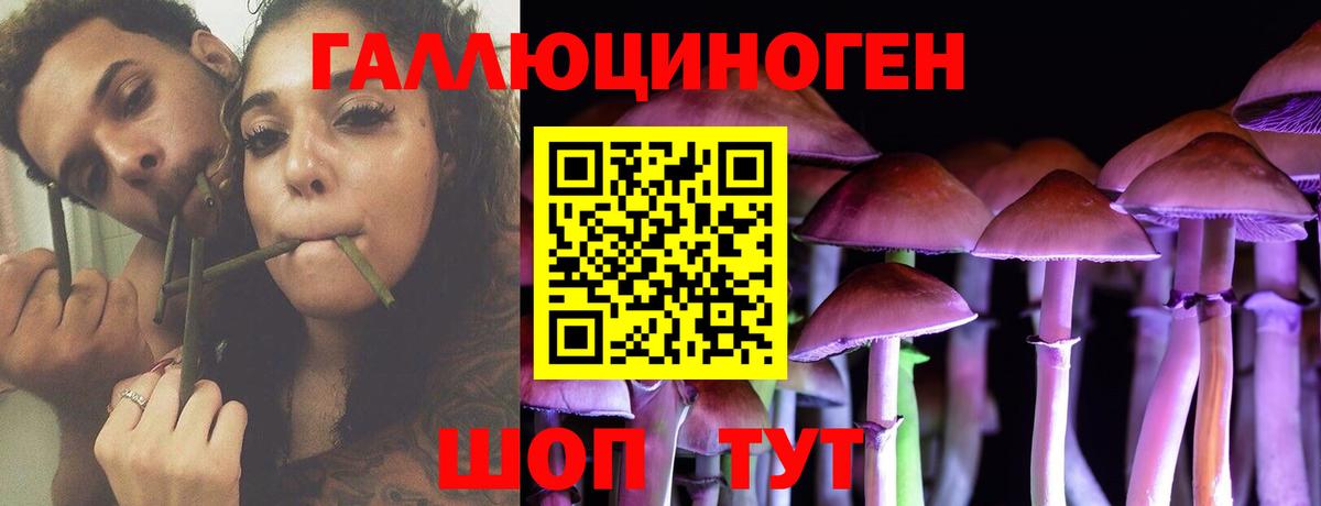 Псилоцибиновые грибы Psilocybe Хабаровск