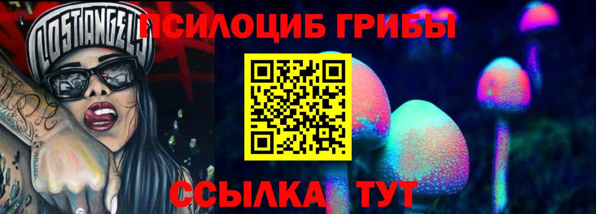 Хабаровск  Псилоцибиновые грибы Cubensis  Псилоцибиновые грибы Psilocybine cubensis  где продают   Вход с VPN 